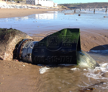 四川省攀枝花市仁和區法蘭式鴨嘴閥案例