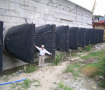 浙江省舟山市鴨嘴閥在西班牙案例